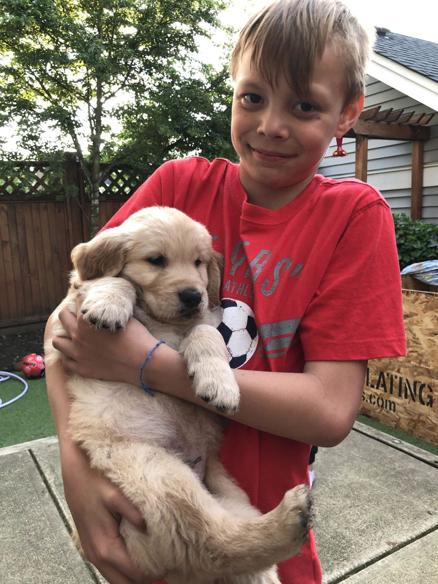 A boy in a red shirt hugging his golden puppy in the back yard