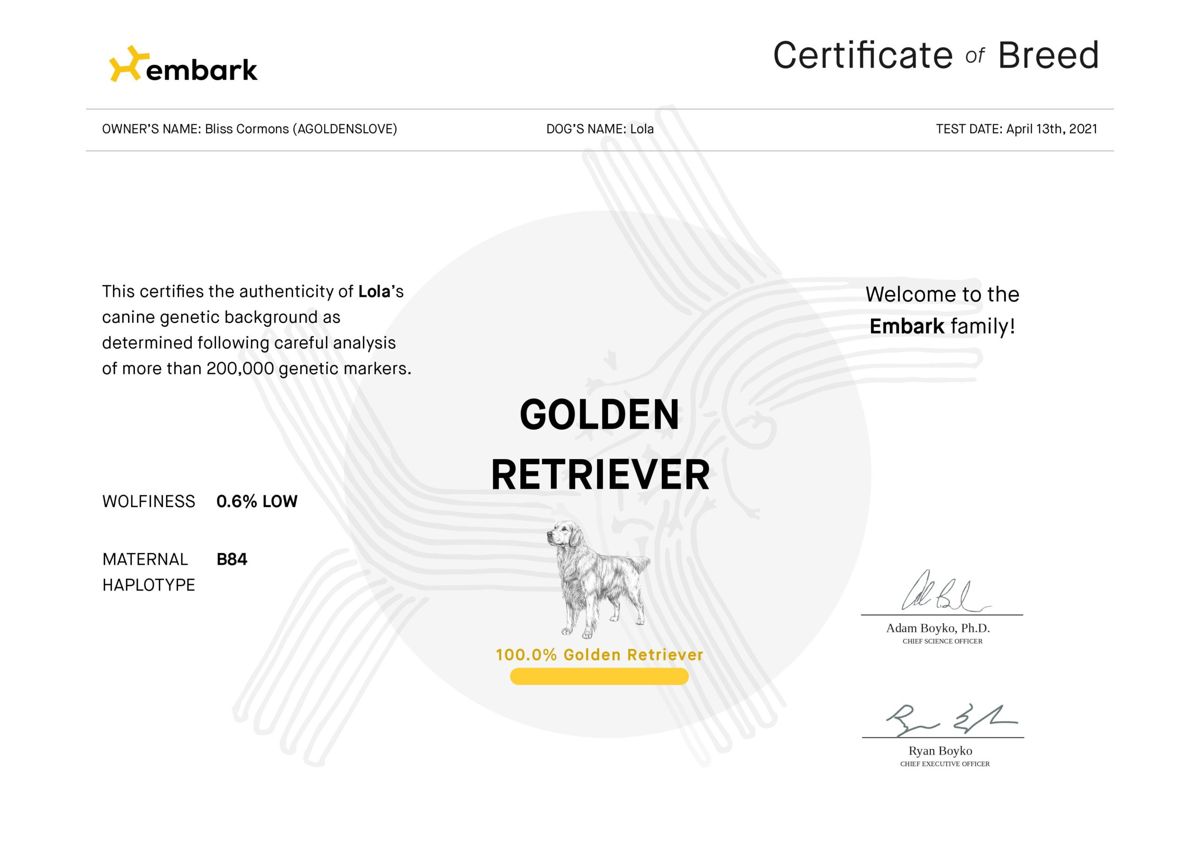 Lola's Embark DNA certificate of breed, confirming she is 100% Golden Retriever